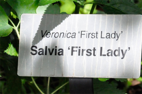 First Lady sign